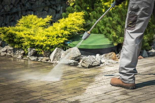 Best Rust Removal  in Melvindale, MI